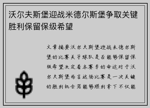 沃尔夫斯堡迎战米德尔斯堡争取关键胜利保留保级希望