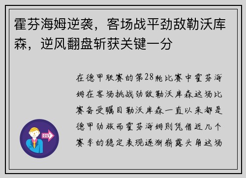 霍芬海姆逆袭，客场战平劲敌勒沃库森，逆风翻盘斩获关键一分