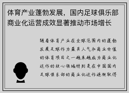 体育产业蓬勃发展，国内足球俱乐部商业化运营成效显著推动市场增长