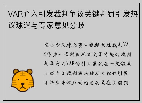 VAR介入引发裁判争议关键判罚引发热议球迷与专家意见分歧
